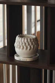 נר אוסטרה גבוה | Cedar Retreat | רוגע וביטחון