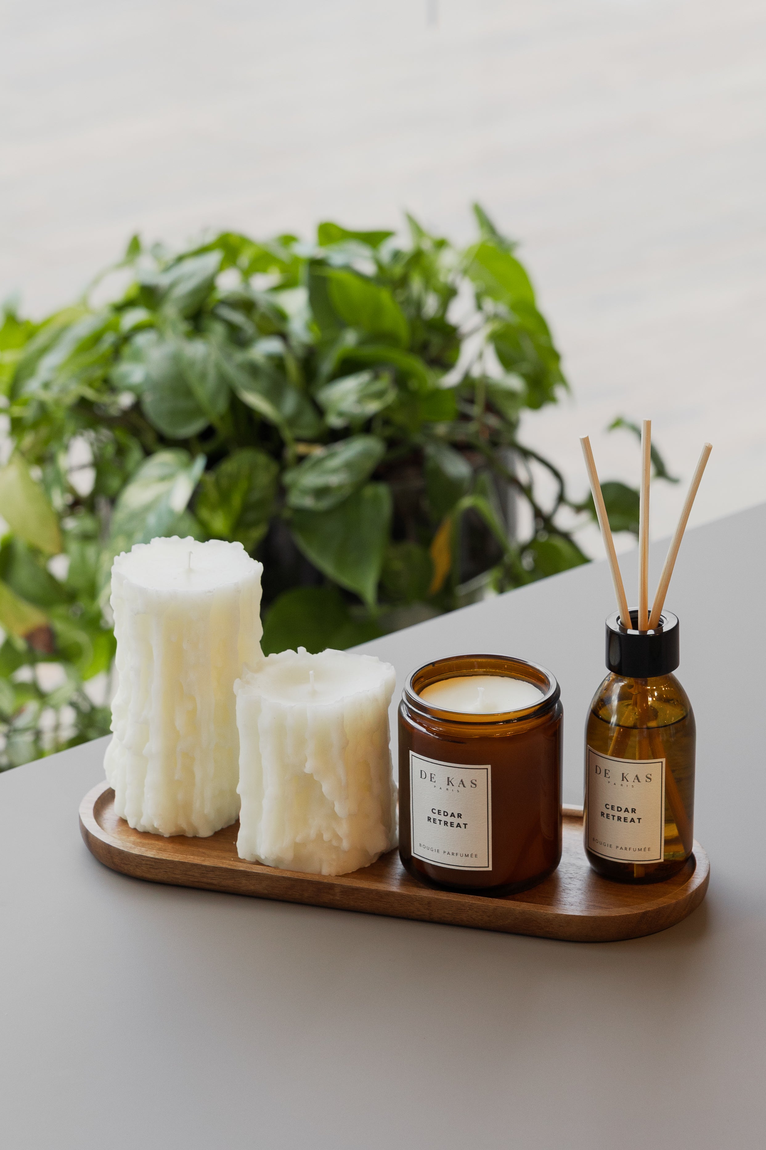 נר בראון  | Cedar Retreat | רוגע וביטחון