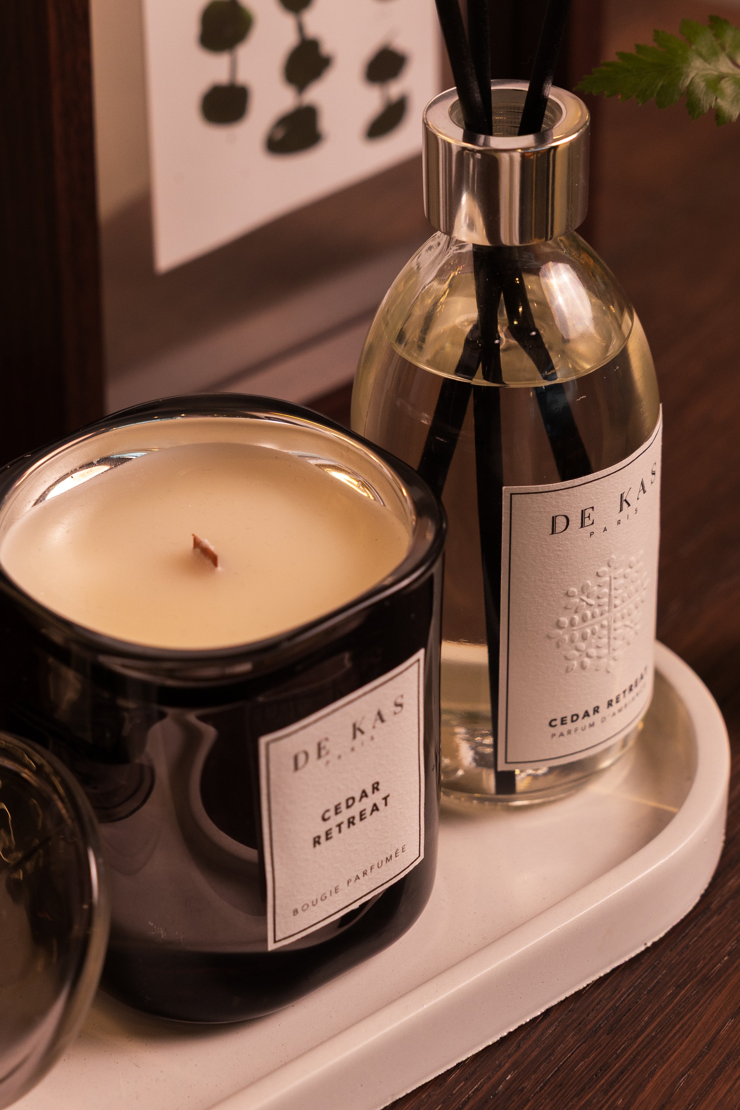 מפיץ ריח | Cotton Candy | ניקיון ושלווה