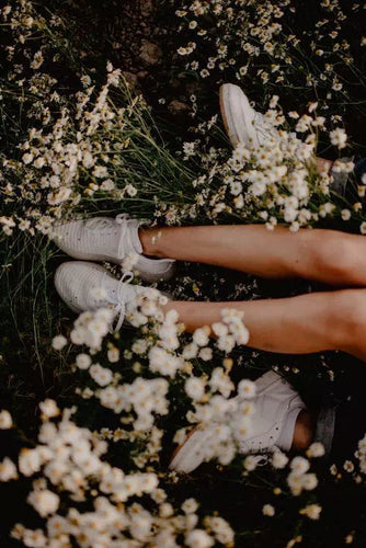Scent Image 4