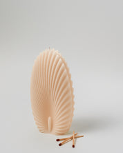 נר צדפה | Ceder Retreat | רוגע וביטחון